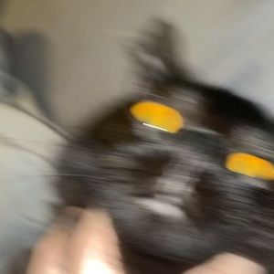 Meet your Posher, Victoria